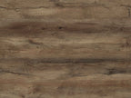 Pinyon Pine