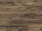 Pinyon Pine